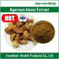 Agaricus Blazei Extract